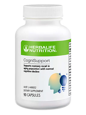 CogniSupport